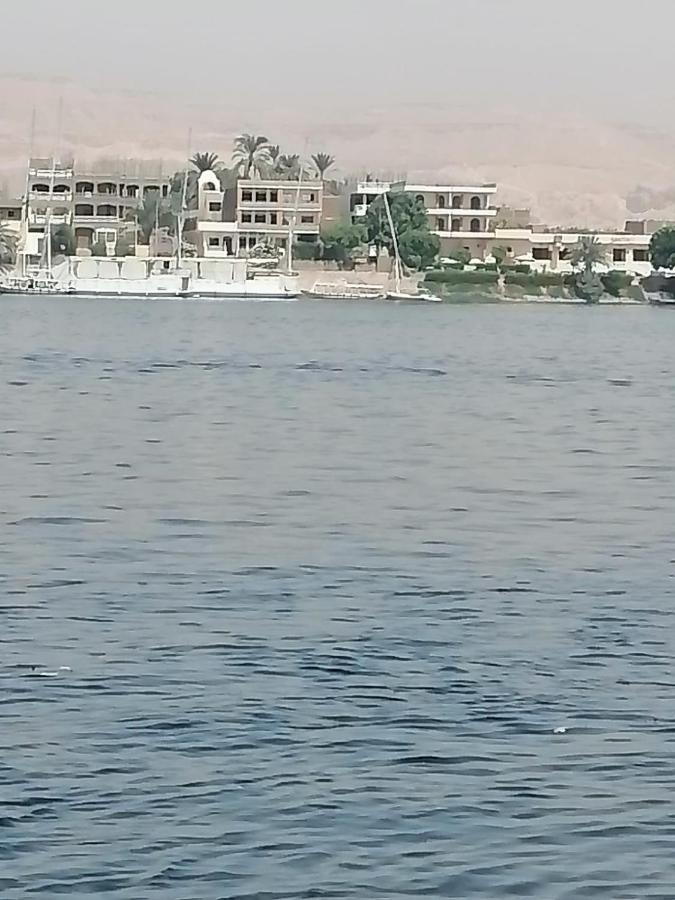 Winter Guest House Luxor Kültér fotó